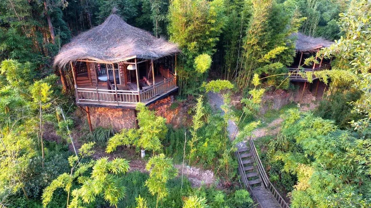 大來山樹屋民宿，喚醒古老村莊留住青山綠水