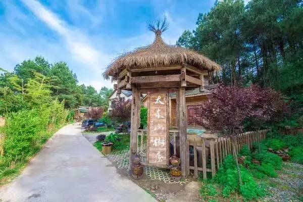 大來山樹屋民宿，喚醒古老村莊留住青山綠水