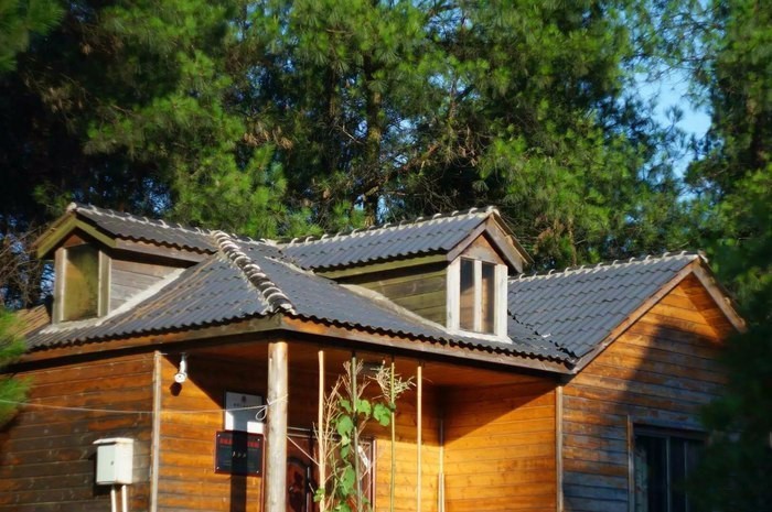 大來山樹屋民宿，喚醒古老村莊留住青山綠水