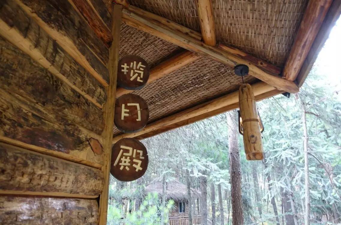 大來山樹屋民宿，喚醒古老村莊留住青山綠水