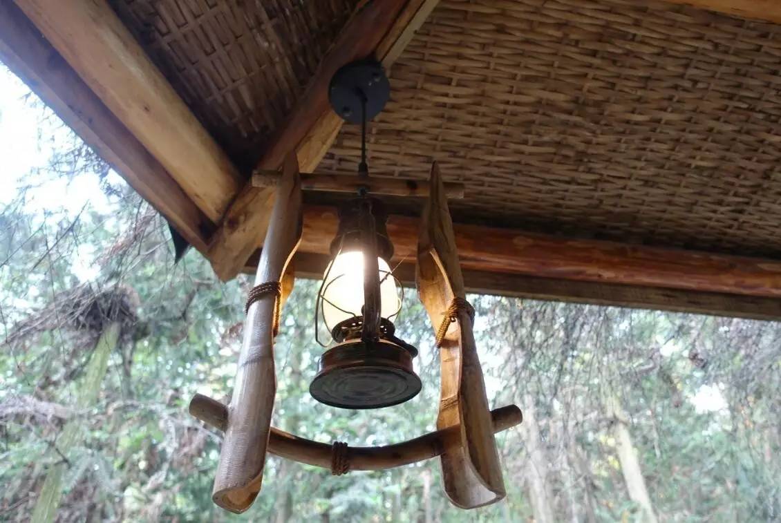 大來山樹屋民宿，喚醒古老村莊留住青山綠水