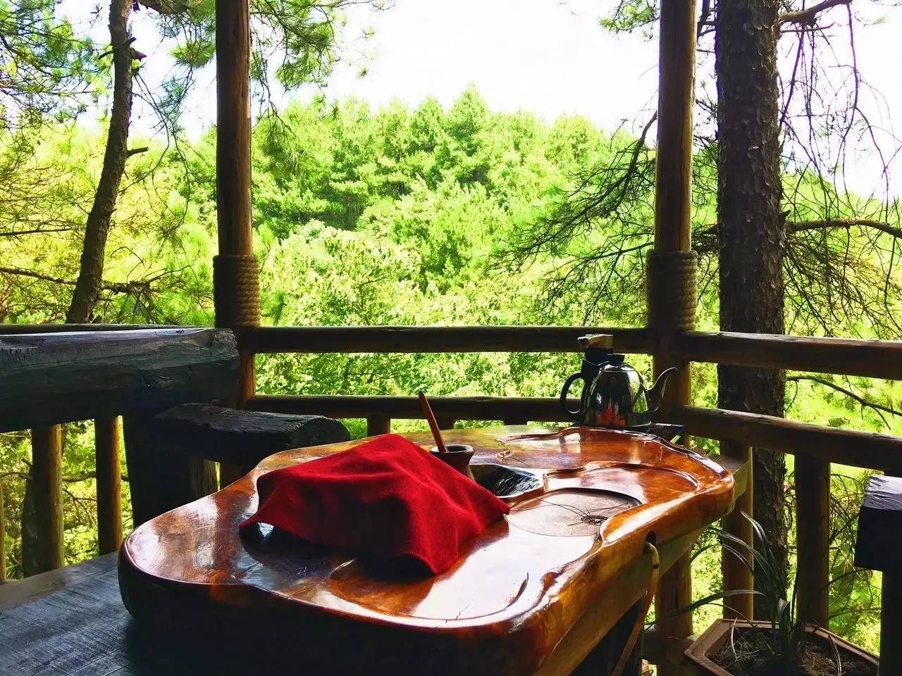 大來(lái)山樹屋民宿，喚醒古老村莊留住青山綠水