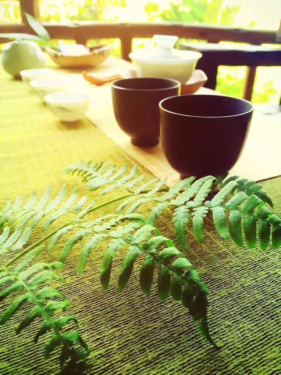 大來(lái)山樹屋民宿，喚醒古老村莊留住青山綠水