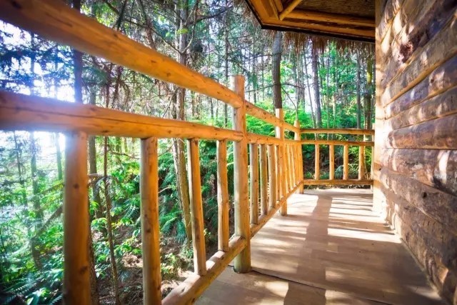 大來山樹屋民宿，喚醒古老村莊留住青山綠水