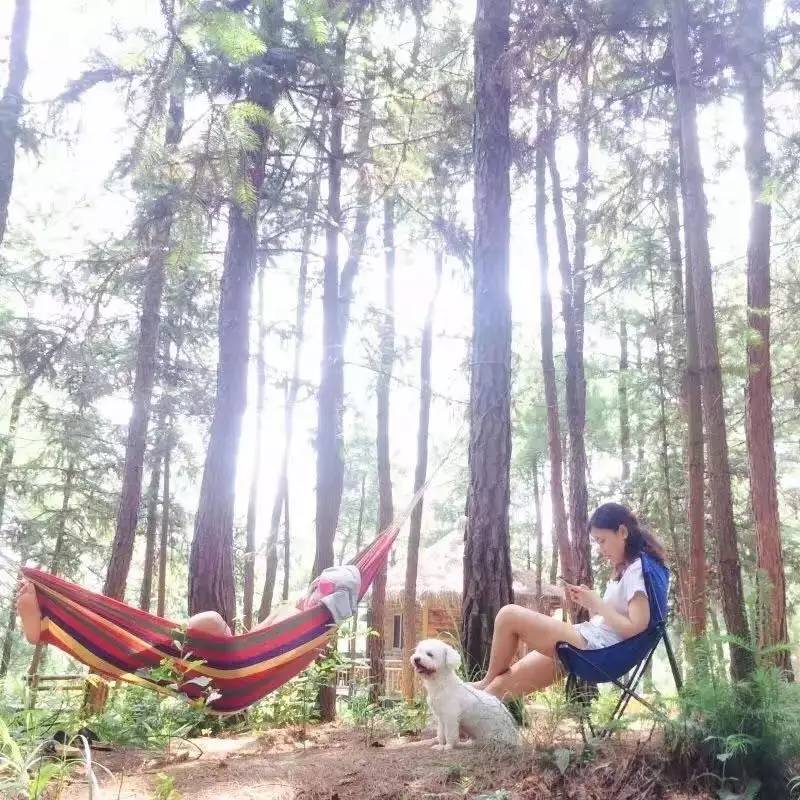 大來山樹屋民宿，喚醒古老村莊留住青山綠水