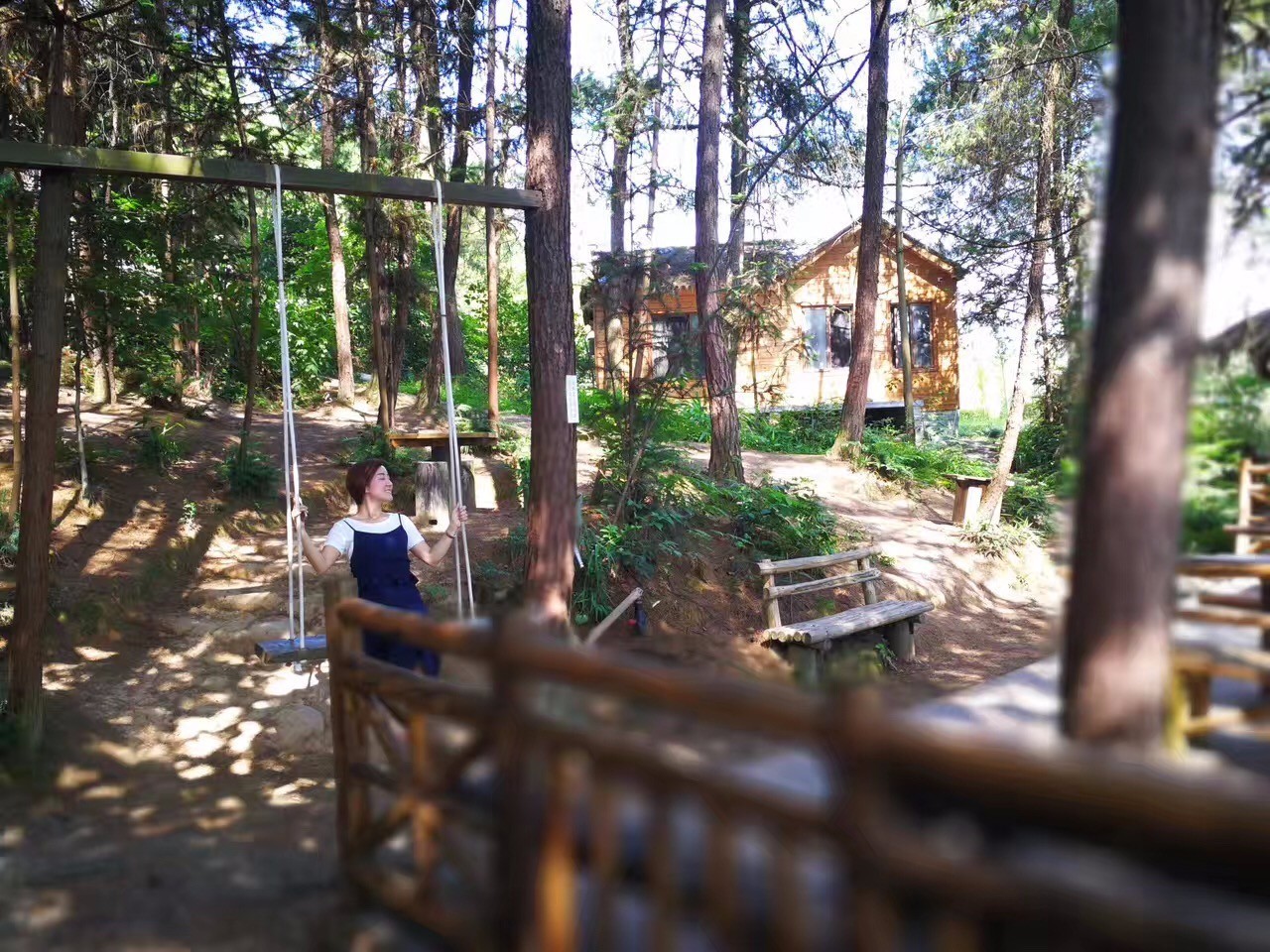 大來山樹屋民宿，喚醒古老村莊留住青山綠水