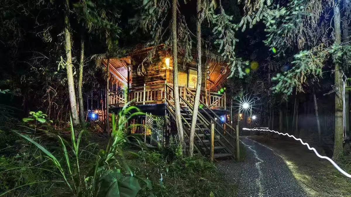 大來山樹屋民宿，喚醒古老村莊留住青山綠水