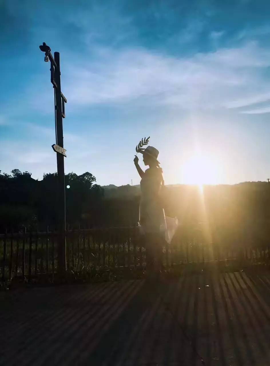 大來山樹屋民宿，喚醒古老村莊留住青山綠水