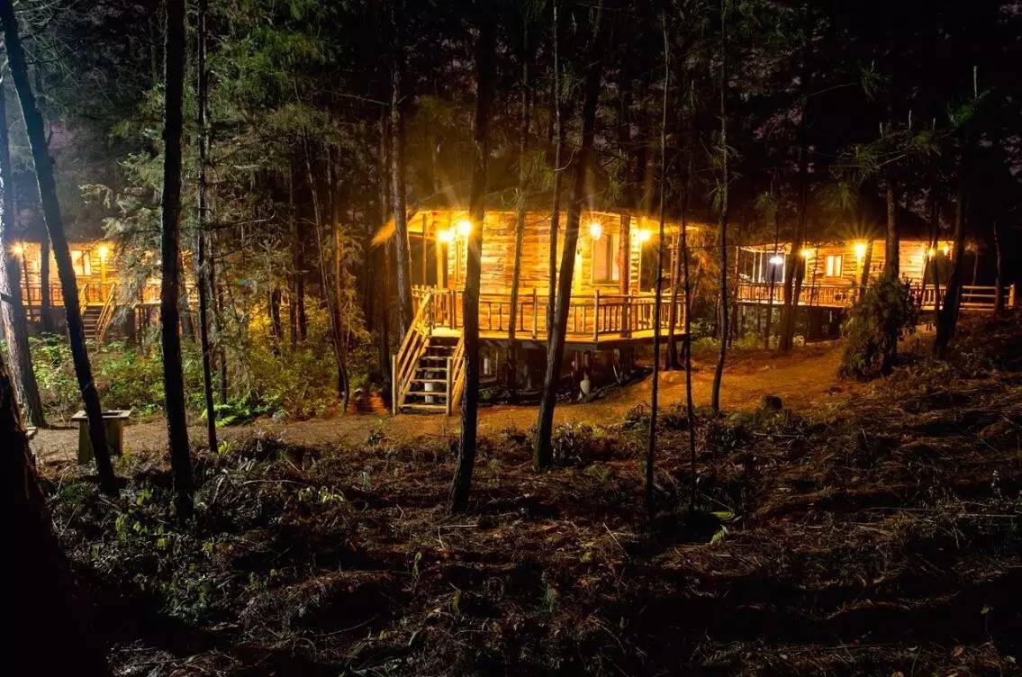 大來山樹屋民宿，喚醒古老村莊留住青山綠水