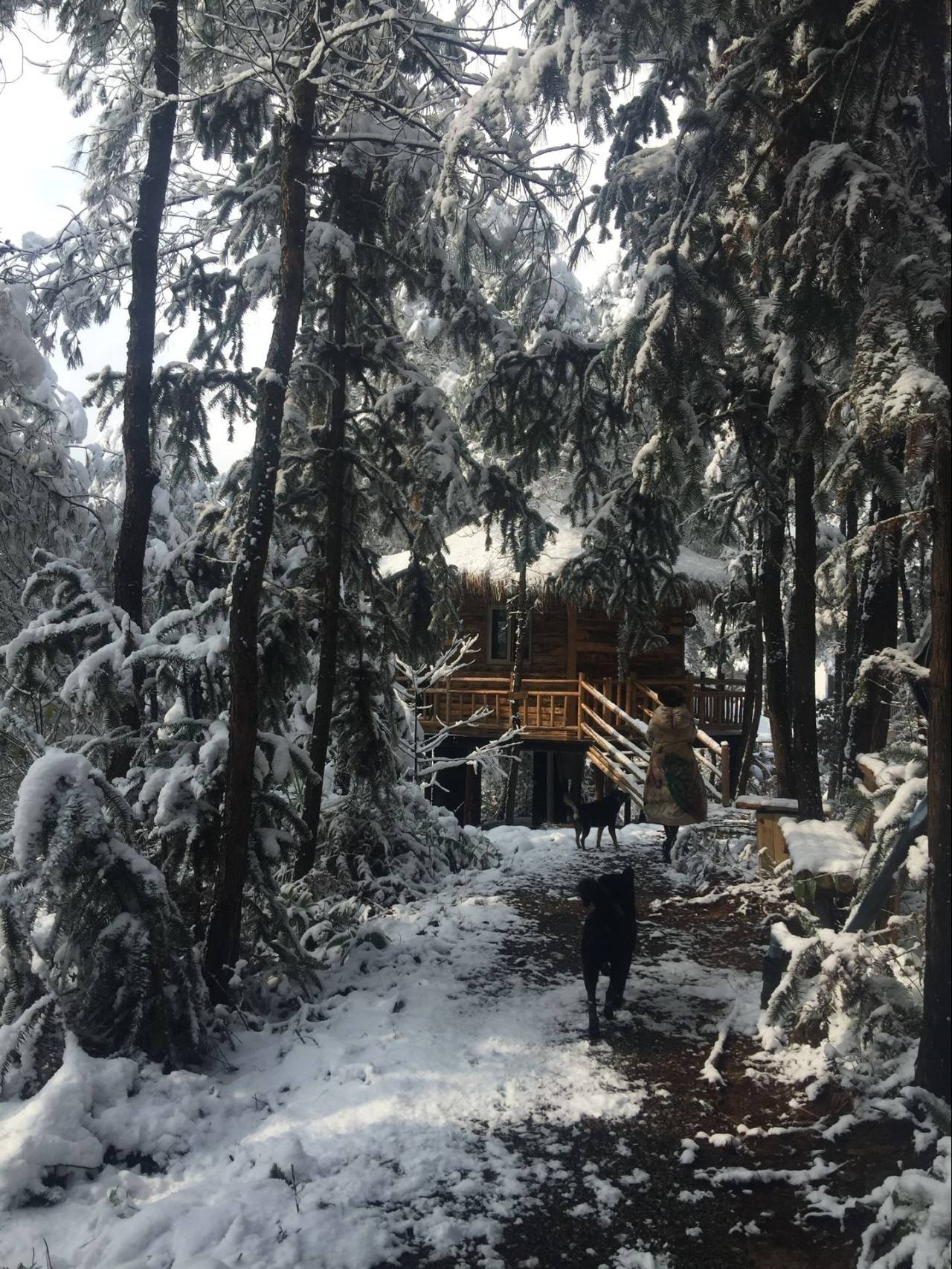 大來(lái)山樹(shù)屋民宿，喚醒古老村莊留住青山綠水