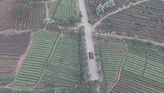 卓廬若家民宿，體味百年老宅的韻味