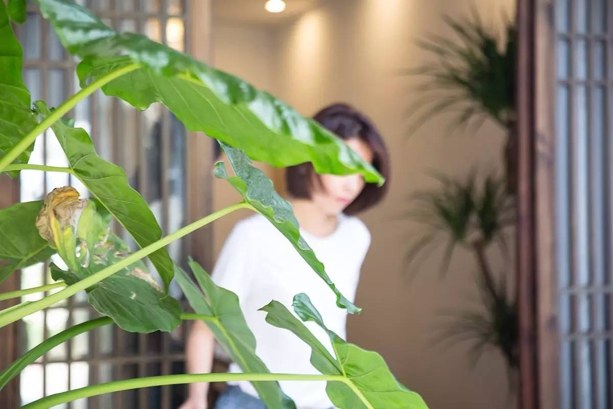 卓廬若家民宿，體味百年老宅的韻味