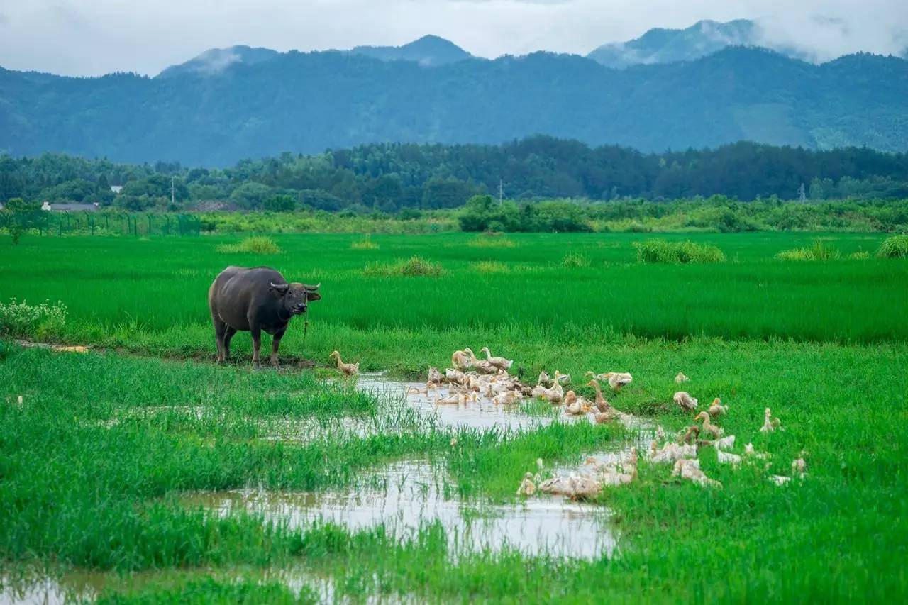 碧山·工銷社，傳承手藝延續(xù)文化