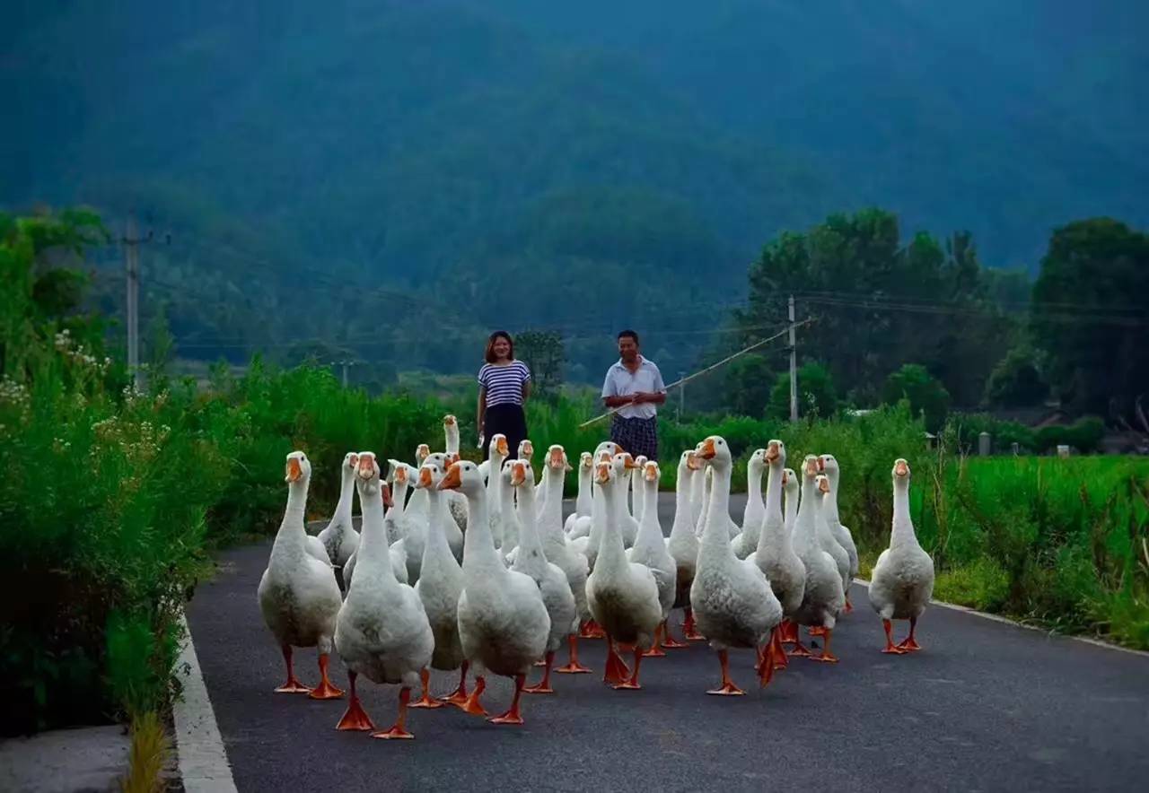碧山·工銷社，傳承手藝延續(xù)文化