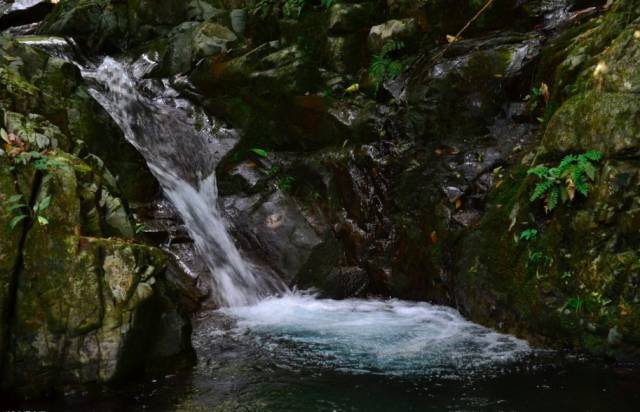 不舍·野馬嶺中國村民宿，樂在其中不忘初心