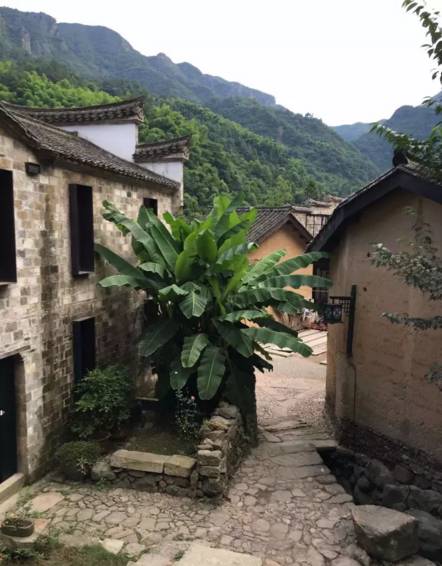 不舍·野馬嶺中國村民宿，樂在其中不忘初心