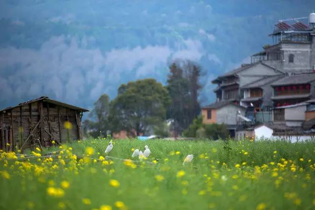 山居秋暝民宿，在大龍井古鎮(zhèn)體驗(yàn)民族文化