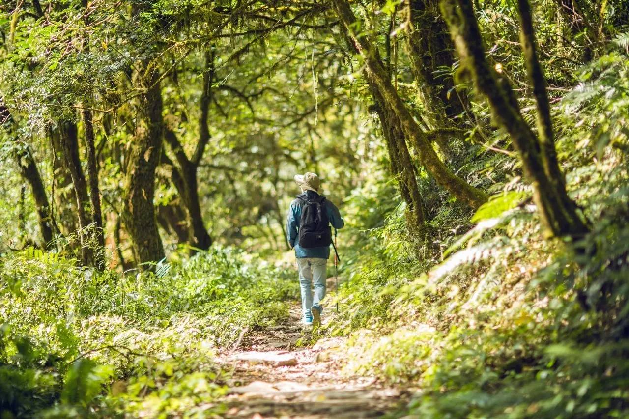 山居秋暝民宿，在大龍井古鎮(zhèn)體驗(yàn)民族文化