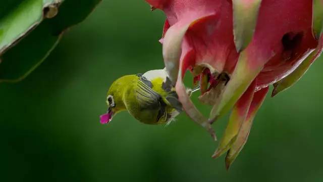 山居秋暝民宿，在大龍井古鎮(zhèn)體驗民族文化