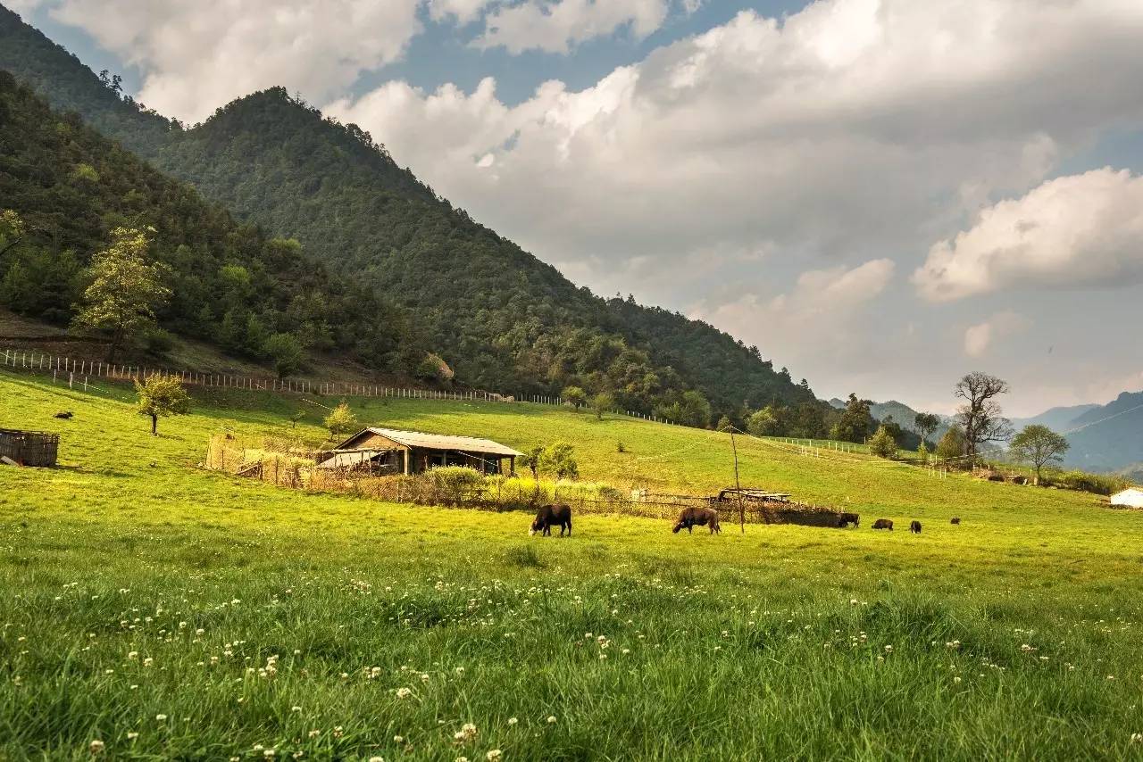 山居秋暝民宿，在大龍井古鎮(zhèn)體驗民族文化