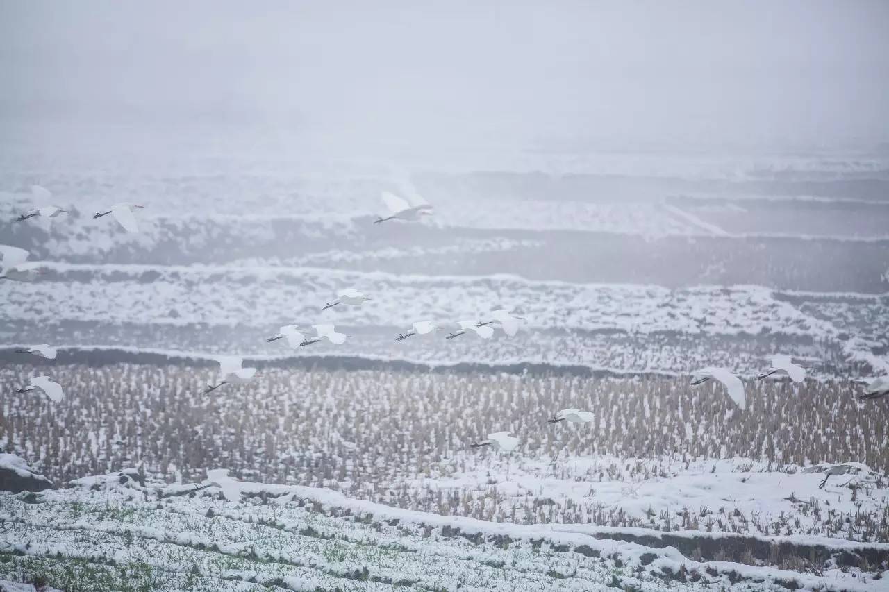 山居秋暝民宿，在大龍井古鎮(zhèn)體驗民族文化