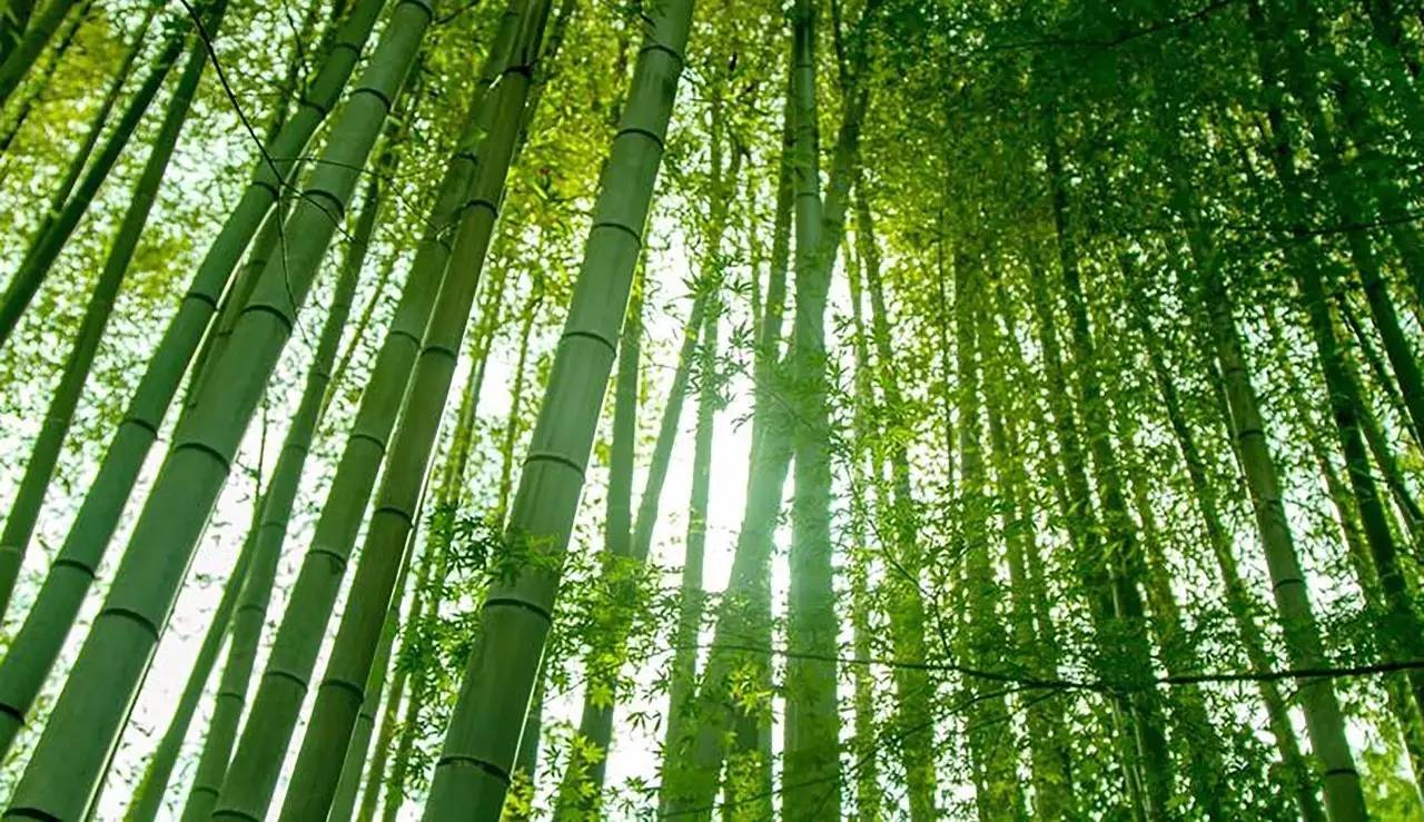 荒無舍民宿，山腳下日出而作日落而息