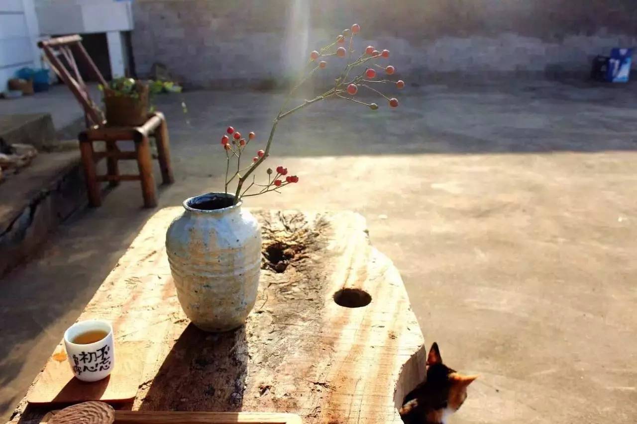 荒無舍民宿，山腳下日出而作日落而息