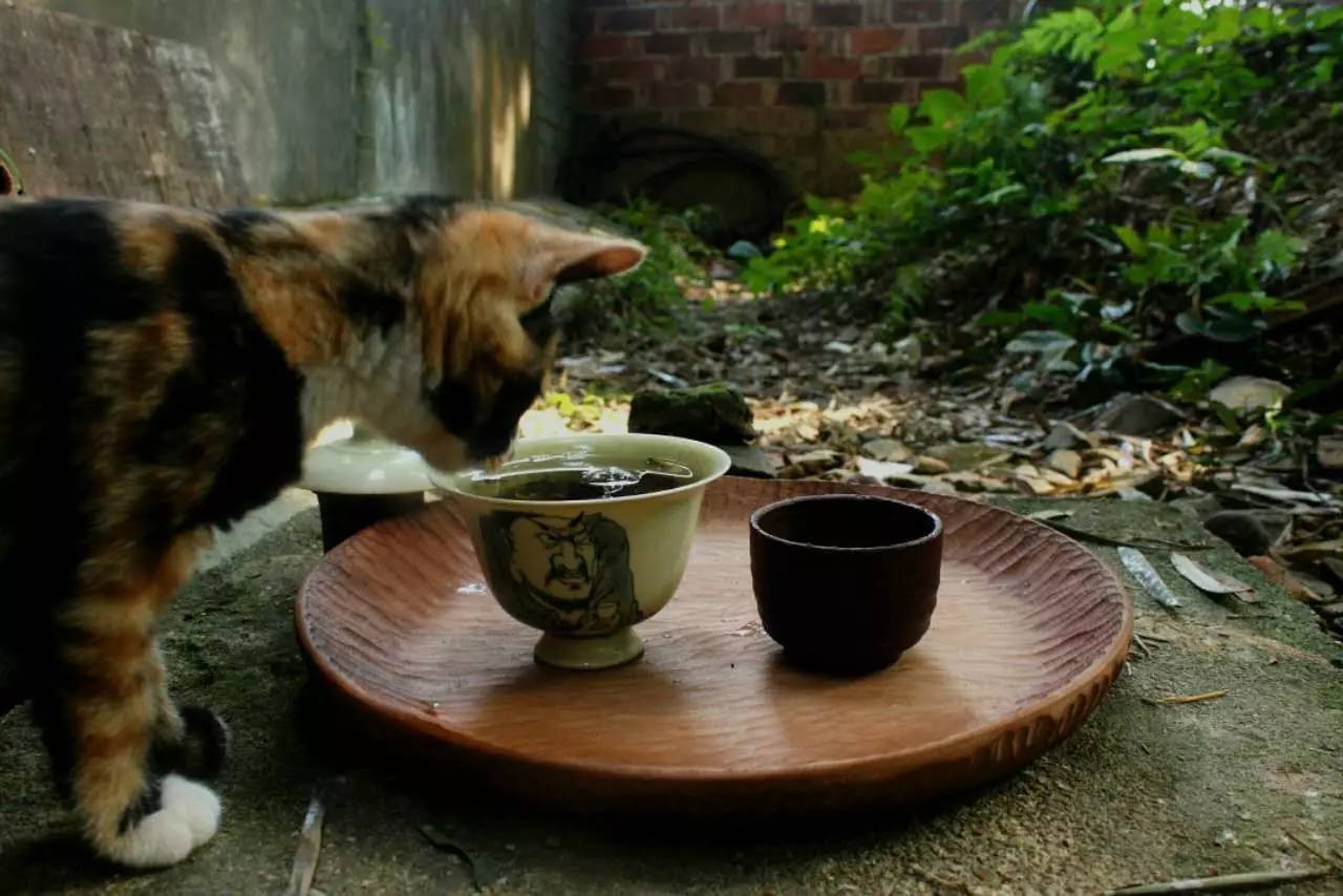 荒無舍民宿，山腳下日出而作日落而息