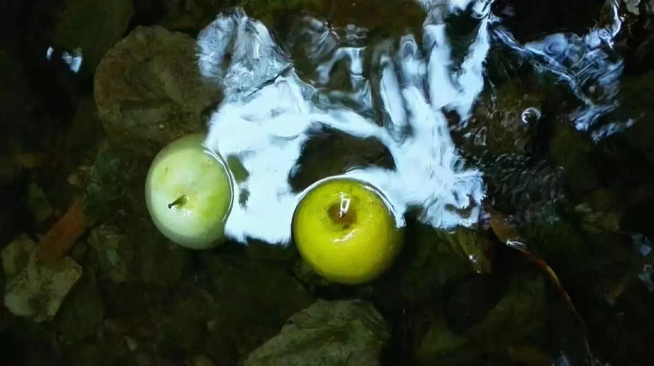 荒無舍民宿，山腳下日出而作日落而息