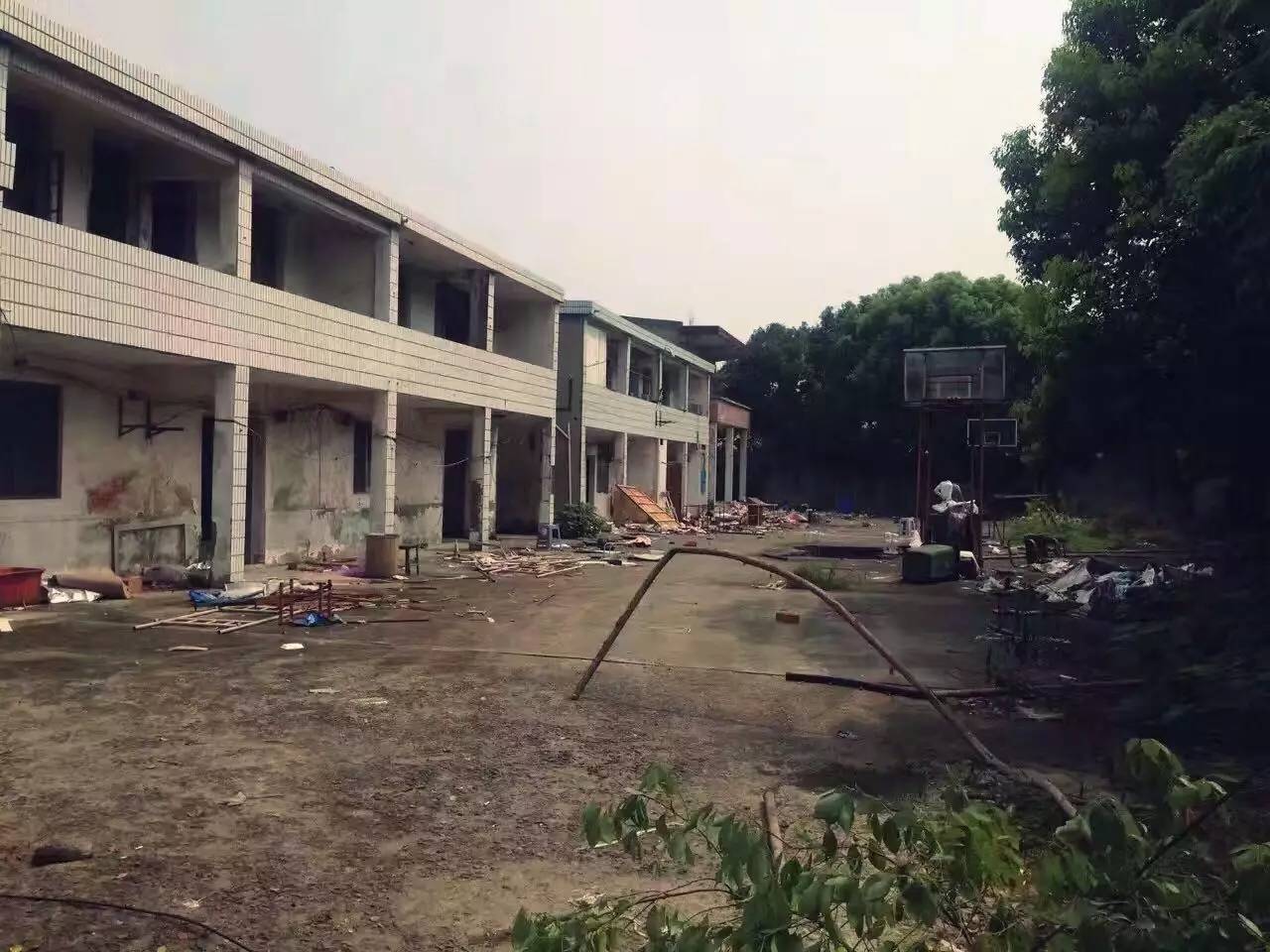 上海四舍，遠(yuǎn)離城市溫暖自由靈魂的世外江湖