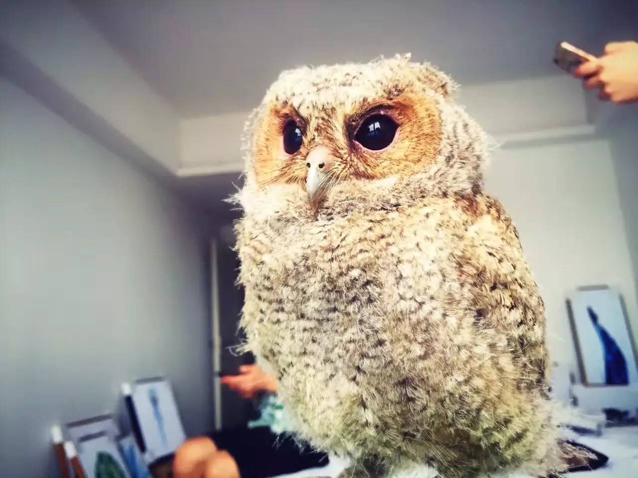 悠居·三朝舍民宿，帶你吃喝玩轉(zhuǎn)南澳島