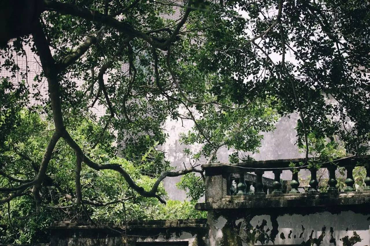 悠居·三朝舍民宿，帶你吃喝玩轉(zhuǎn)南澳島