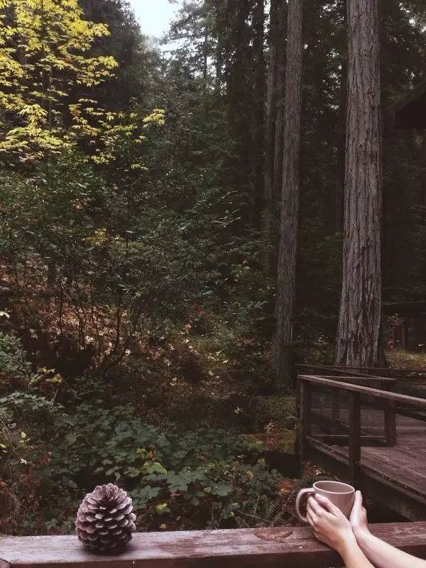 住進山林享受一個人的狂歡，愛上中式裝修的1