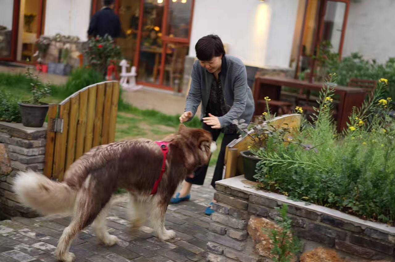 在小筑沐野民宿，不被年齡定義和束縛活出自己