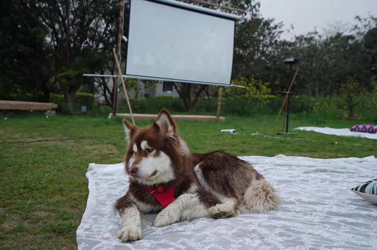 在小筑沐野民宿，不被年齡定義和束縛活出自己