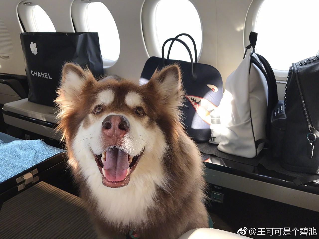 在小筑沐野民宿，不被年齡定義和束縛活出自己