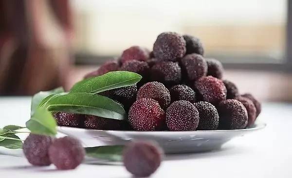 蘇東坡最能吃，舌尖上的中國(guó)美食