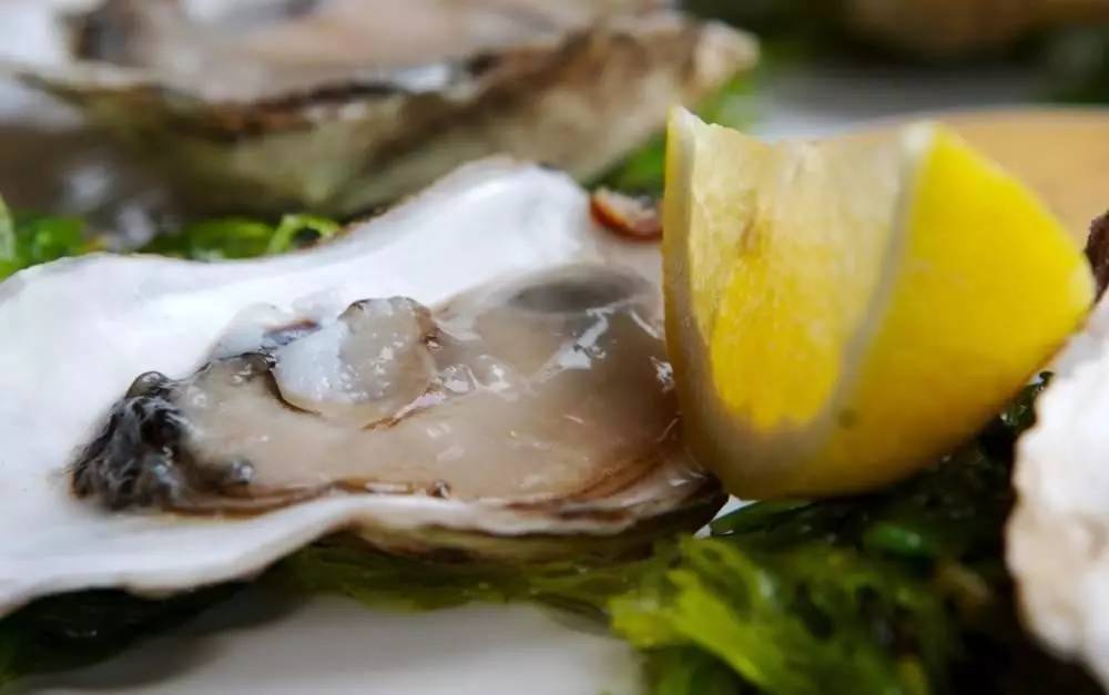 蘇東坡最能吃，舌尖上的中國美食