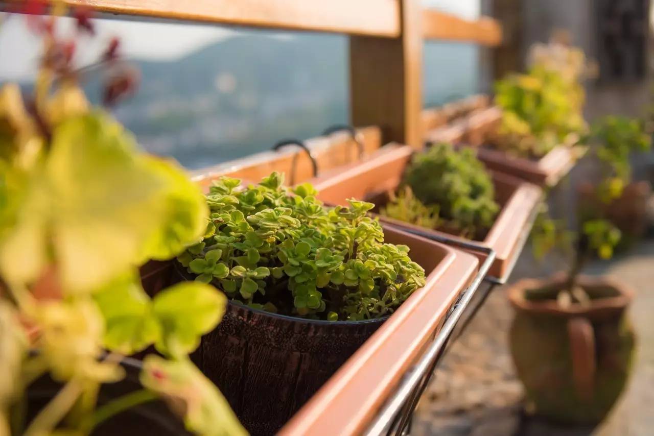 靜沁苑民宿，在海角一隅取一絲寧靜沁潤心田