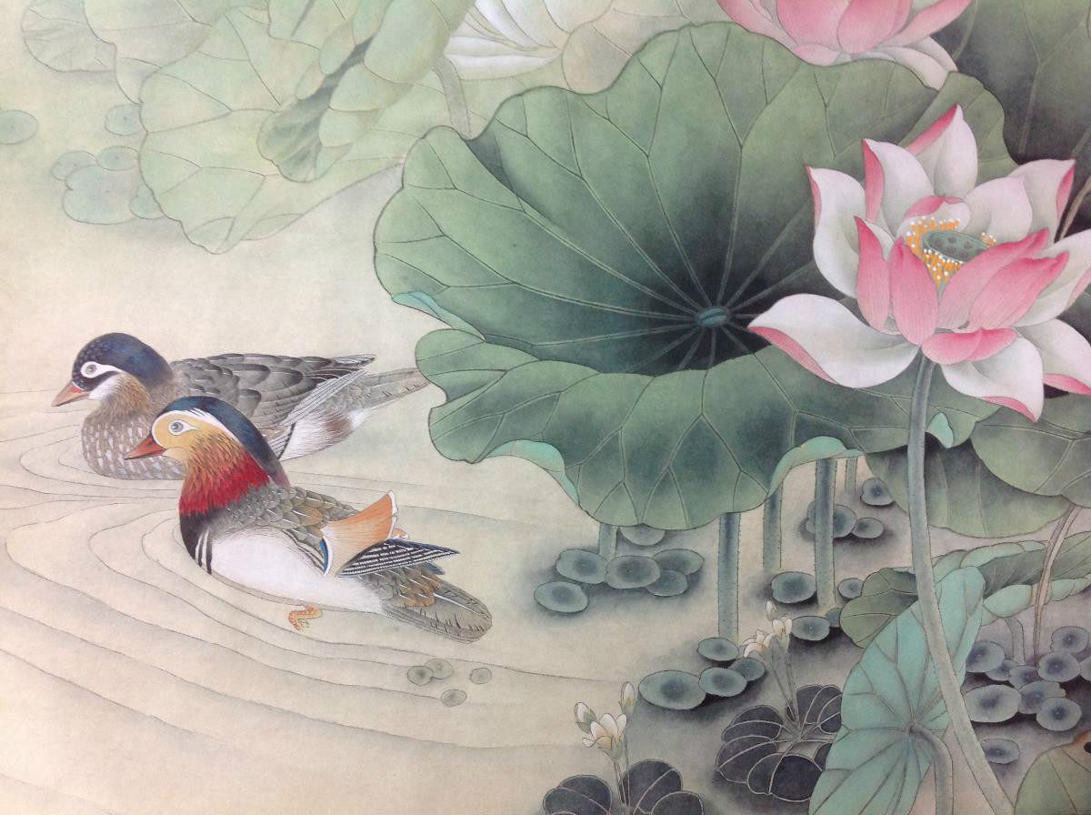國(guó)畫(huà)荷花，鴛鴦戲水