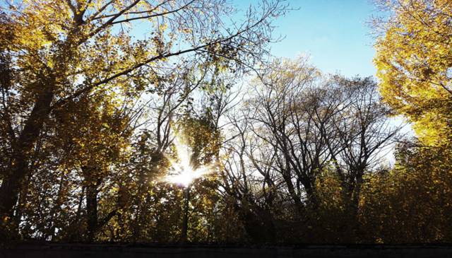 6步人間7步天堂，西藏拉薩布達(dá)拉宮民宿