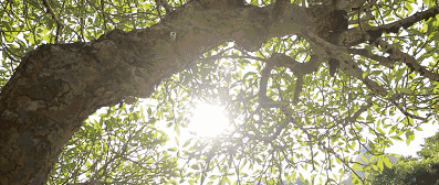 鼓浪嶼喜林閣民宿，遇見心頭歡喜