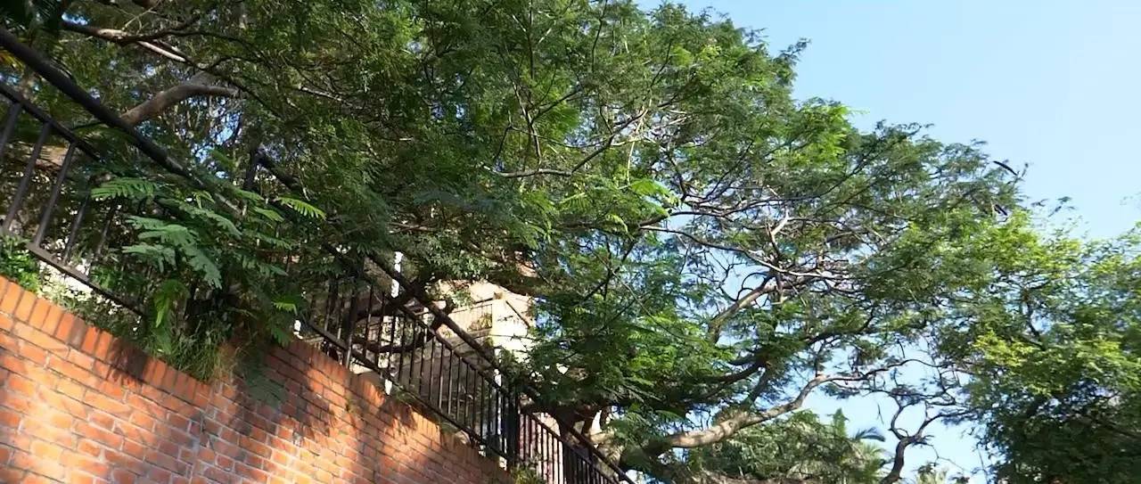 鼓浪嶼喜林閣民宿，遇見心頭歡喜