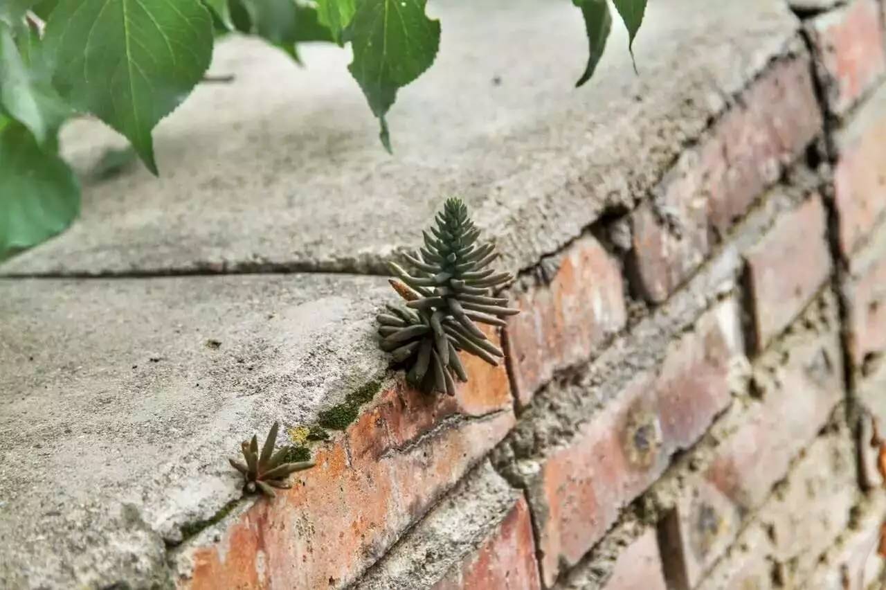 北京延慶畫框里，置身一幅山水長卷妙不可言