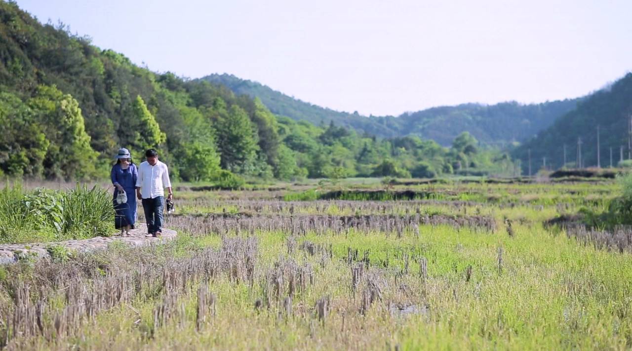 新安江畔谷掌民宿，莊園里享受青山環(huán)繞的美景