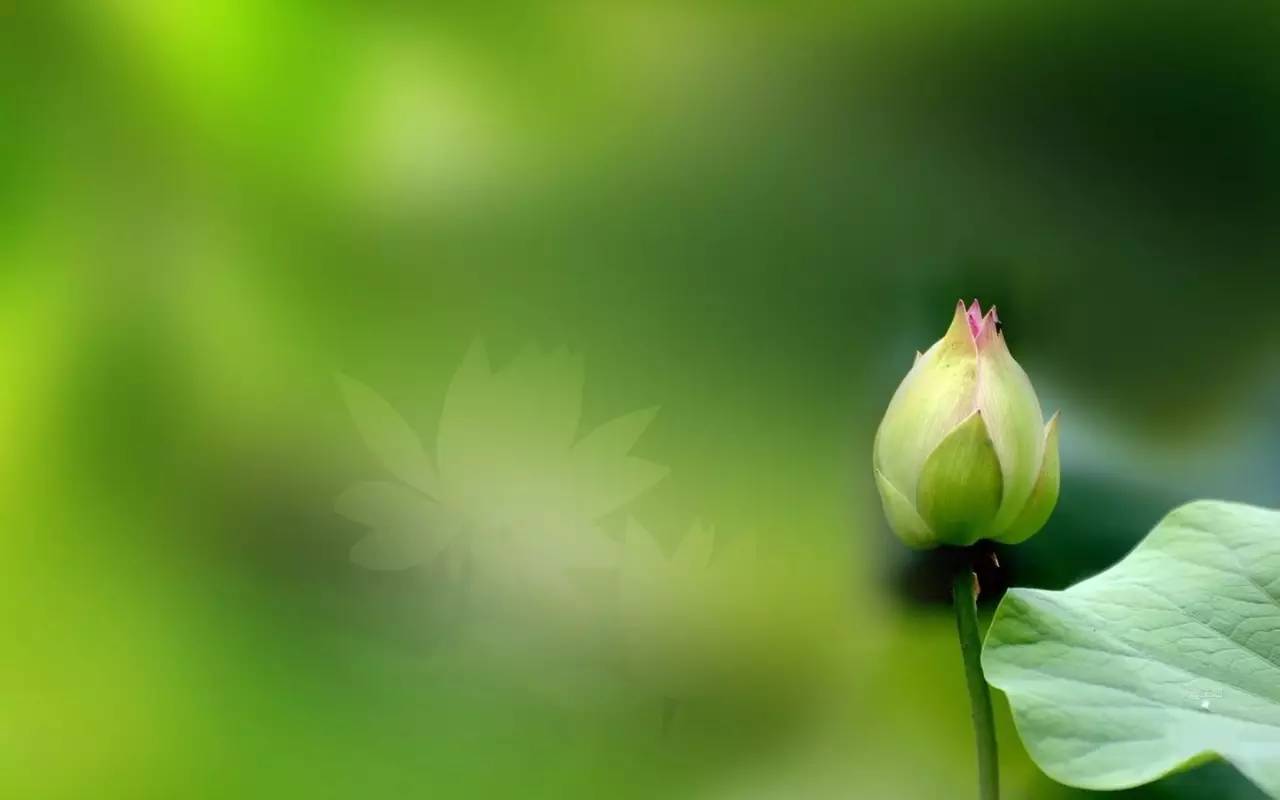 古風(fēng)句子《命運(yùn)賦》，百讀不厭成就千古經(jīng)典