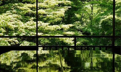 客堂間莫干山民宿，隱居深山聆聽自然