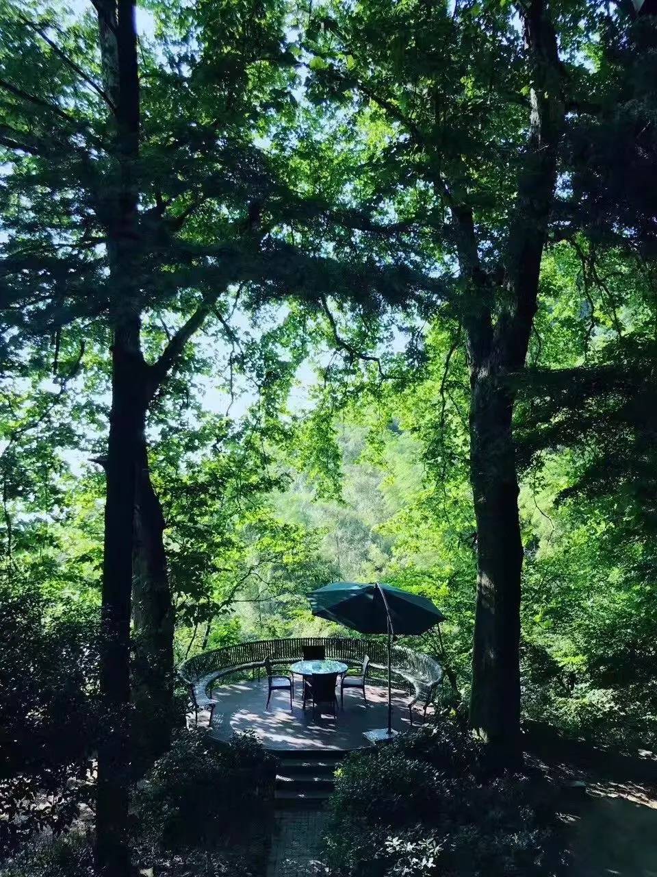 忘山別墅莫干山民宿，一棟百年歷史的民國別墅