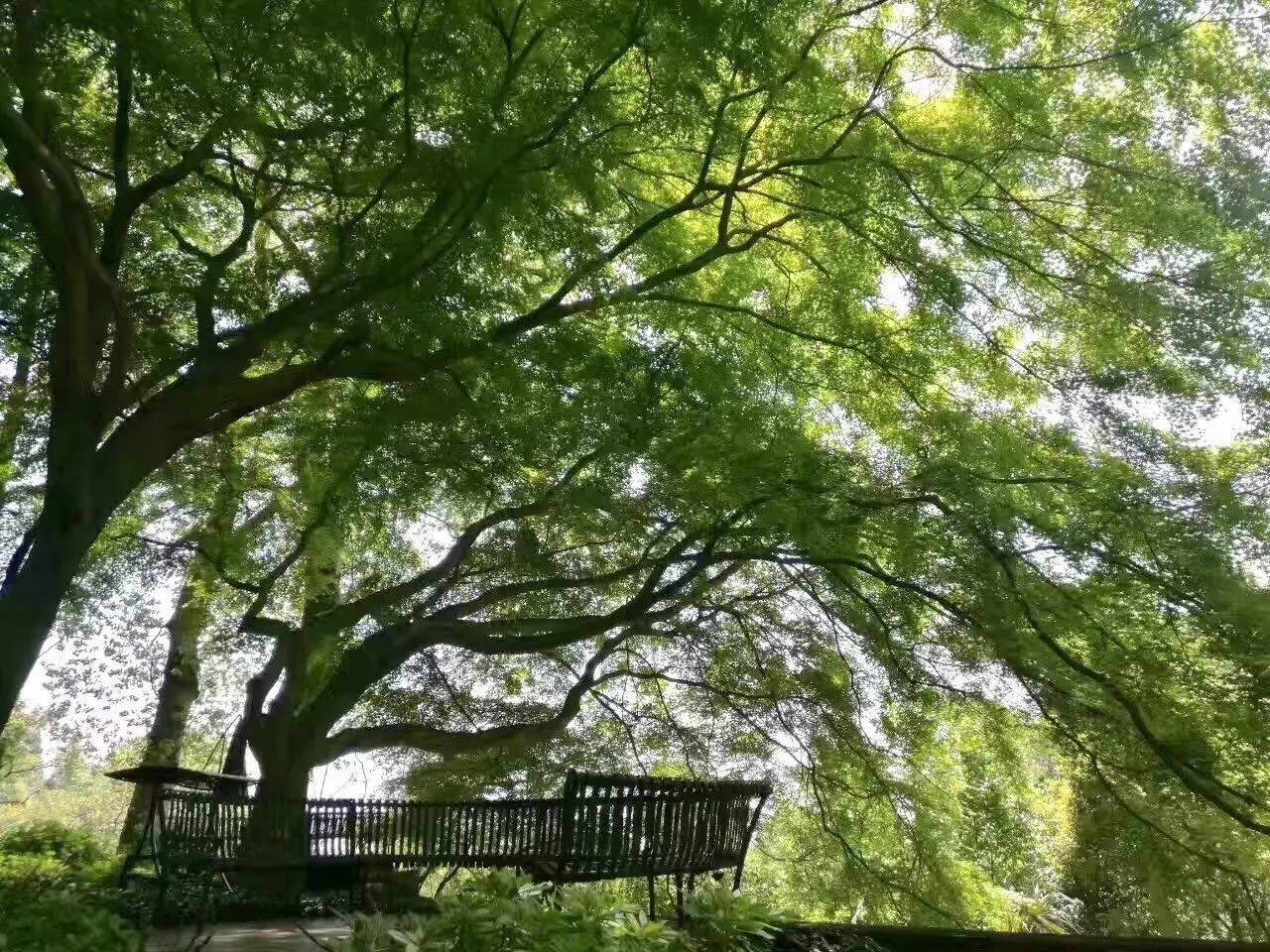 忘山別墅莫干山民宿，一棟百年歷史的民國別墅