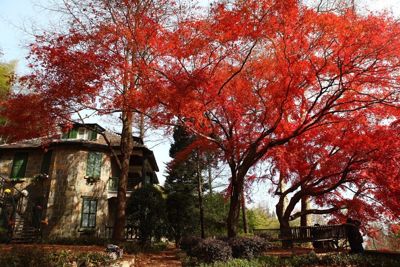 忘山別墅莫干山民宿，一棟百年歷史的民國別墅